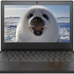 Lenovo Chromebook 3 (2022) 11.6” HD Laptop – Intel Celeron N4020, 4GB RAM, 64GB eMMC, Chrome OS, Intel HD Graphics, HD Webcam, Black + 32GB USB Storage Card